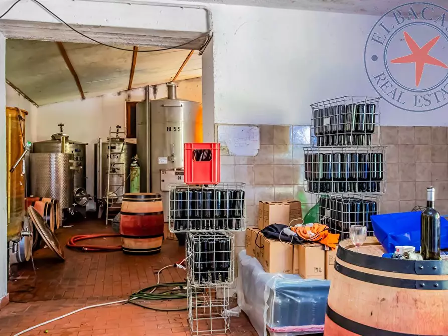 Immagine 2 di Casa indipendente in vendita  a Marciana Marina