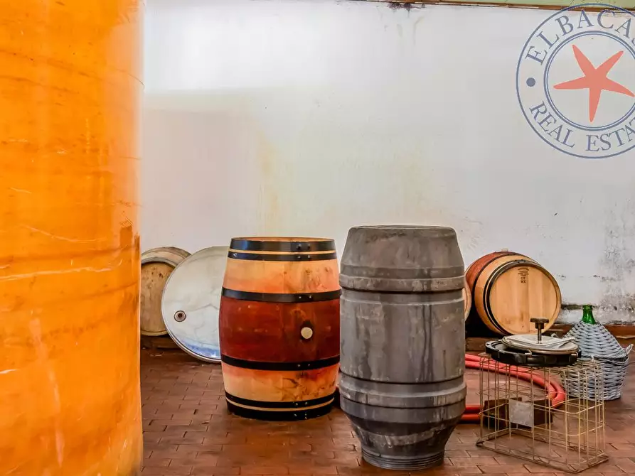 Immagine 4 di Casa indipendente in vendita  a Marciana Marina