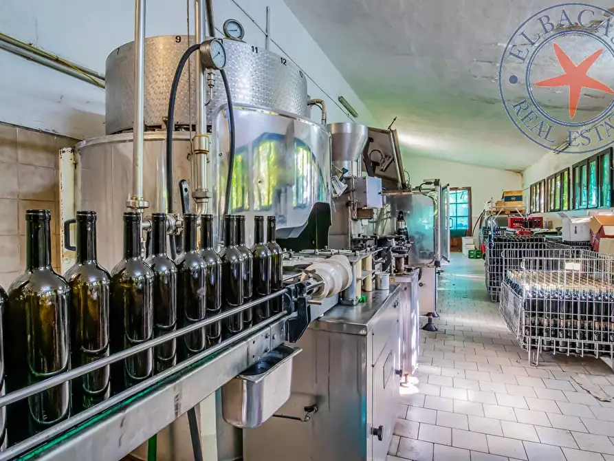 Immagine 9 di Casa indipendente in vendita  a Marciana Marina