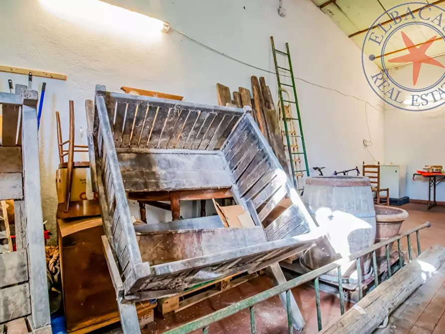 Immagine 5 di Casa indipendente in vendita  a Marciana Marina