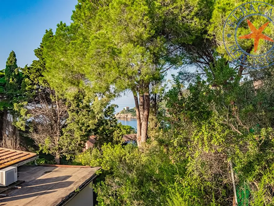 Immagine 7 di Casa indipendente in vendita  in VIA DEL COLLE LOC PROCCHIO snc a Marciana