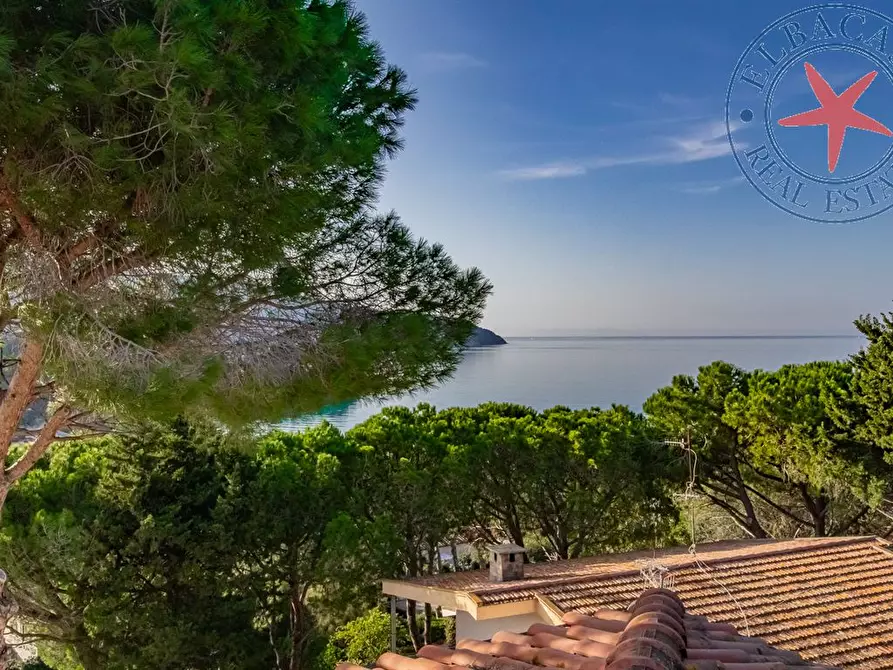 Immagine 8 di Casa indipendente in vendita  in VIA DEL COLLE LOC PROCCHIO snc a Marciana