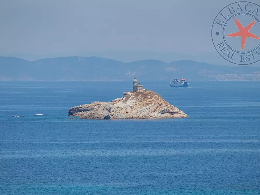 Immagine 5 di Villa in vendita  a Portoferraio