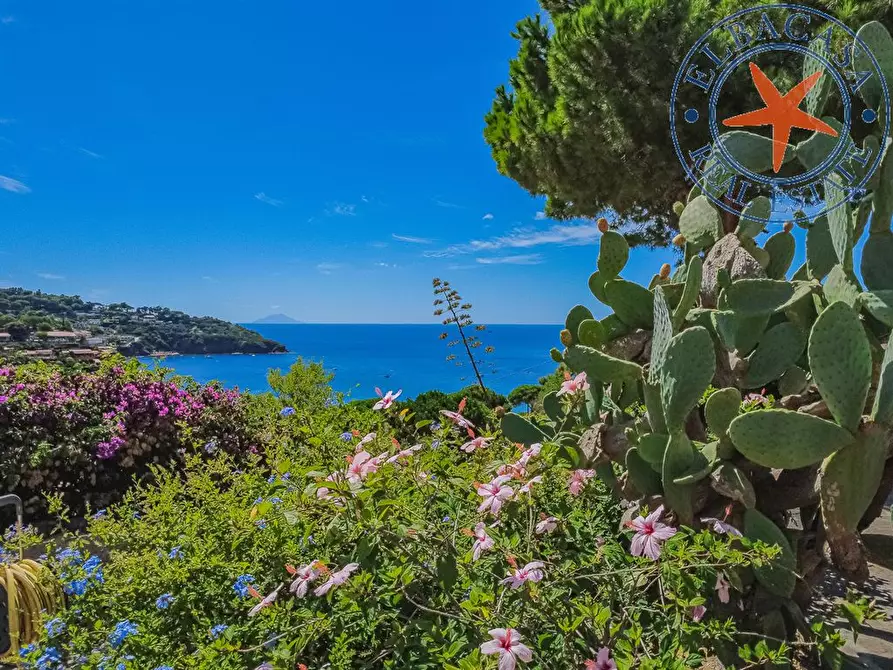 Immagine 8 di Villa in vendita  a Capoliveri