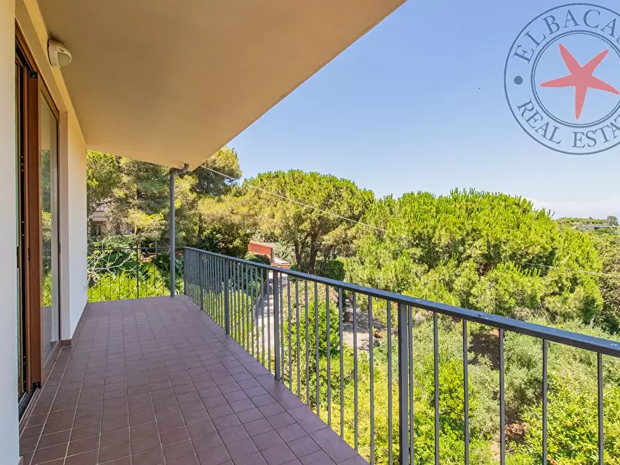 Immagine 3 di Villa in vendita  a Portoferraio