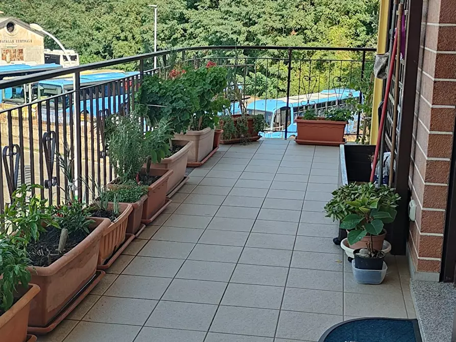 Immagine 6 di Appartamento in vendita  in luca 11 a Chiaravalle Centrale