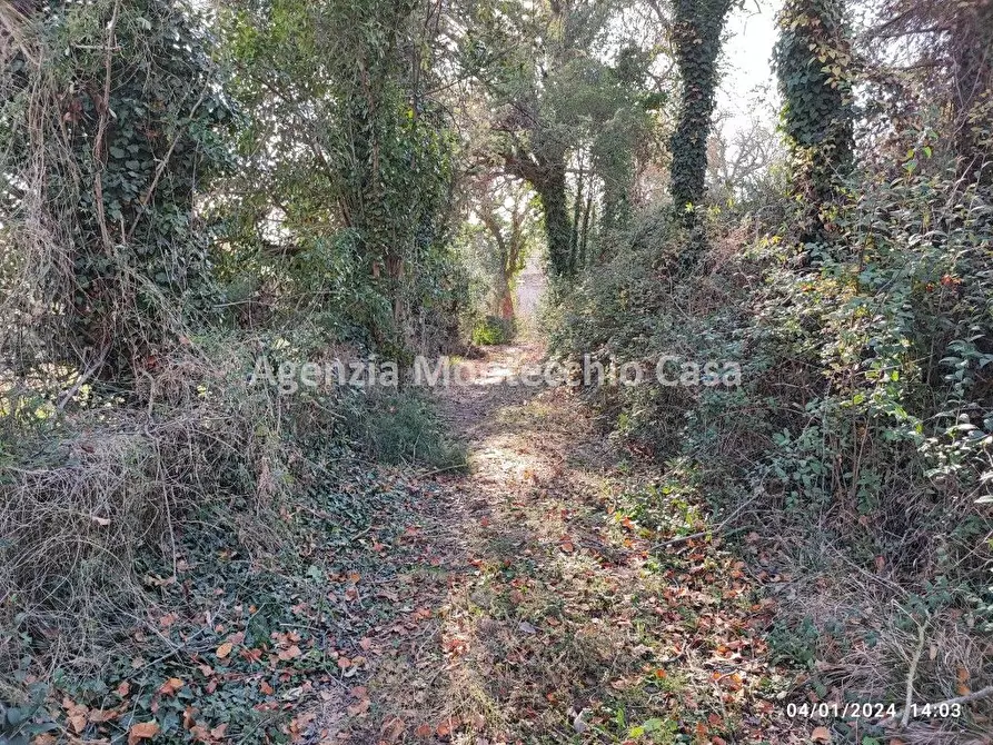 Immagine 4 di Rustico / casale in vendita  in Strada della Campanara a Pesaro