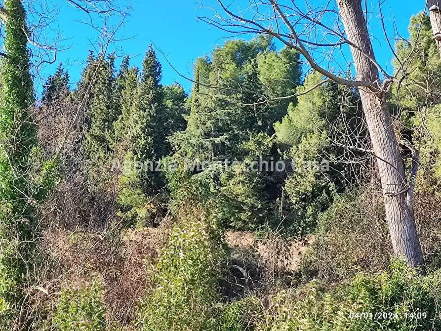 Immagine 3 di Rustico / casale in vendita  in Strada della Campanara a Pesaro