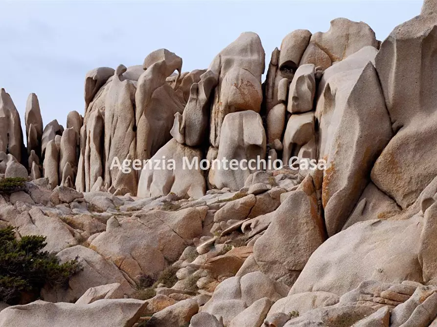 Immagine 8 di Appartamento in affitto  in Strada statale S.S. 200 a Castelsardo