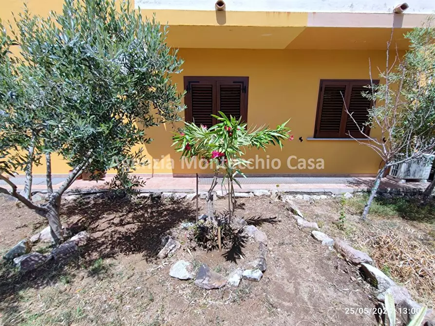 Immagine 6 di Appartamento in affitto  in Via Molise 34 a Castelsardo