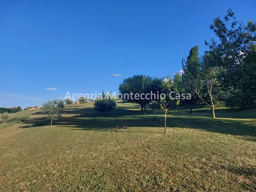 Immagine 8 di Casa indipendente in vendita  in Via Roma a Tavoleto