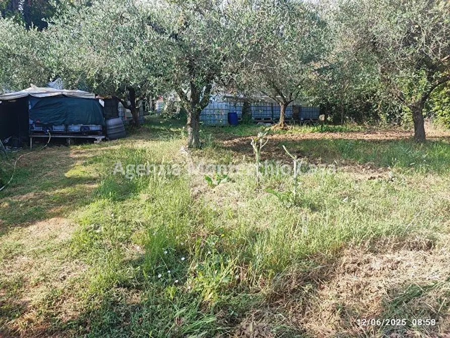 Immagine 3 di Terreno agricolo in vendita  in Via Della Campanara a Pesaro