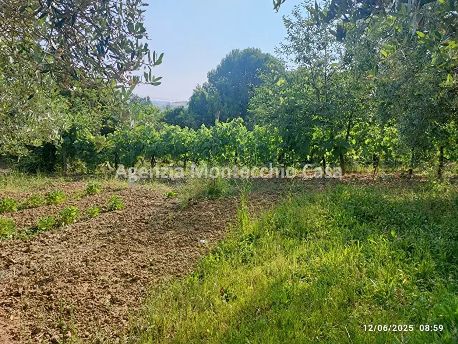 Immagine 2 di Terreno agricolo in vendita  in Via Della Campanara a Pesaro