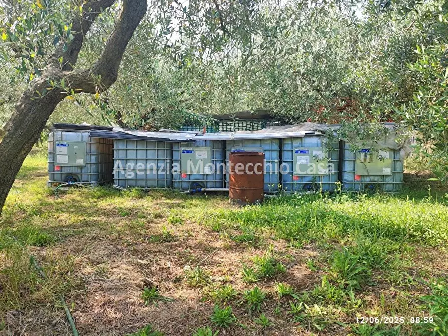 terreno agricolo in vendita a Pesaro in zona Case Bruciate