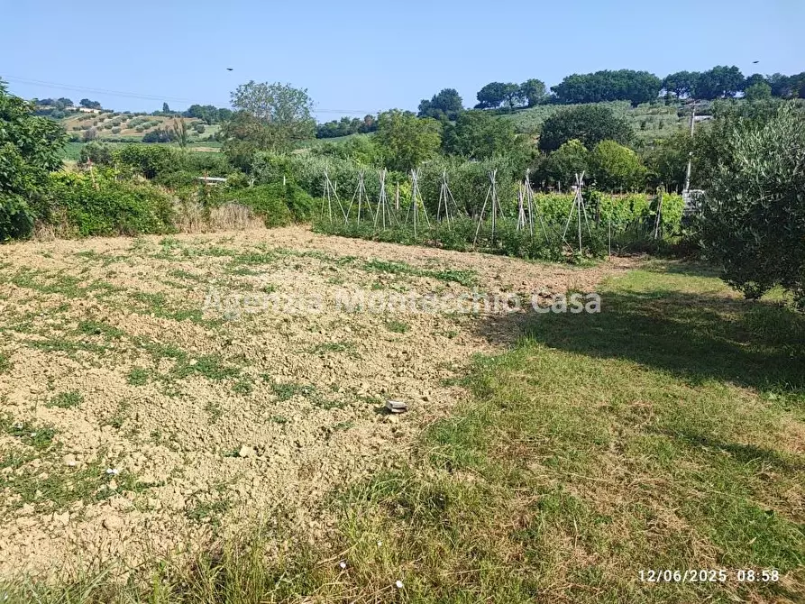Immagine 4 di Terreno agricolo in vendita  in Via Della Campanara a Pesaro