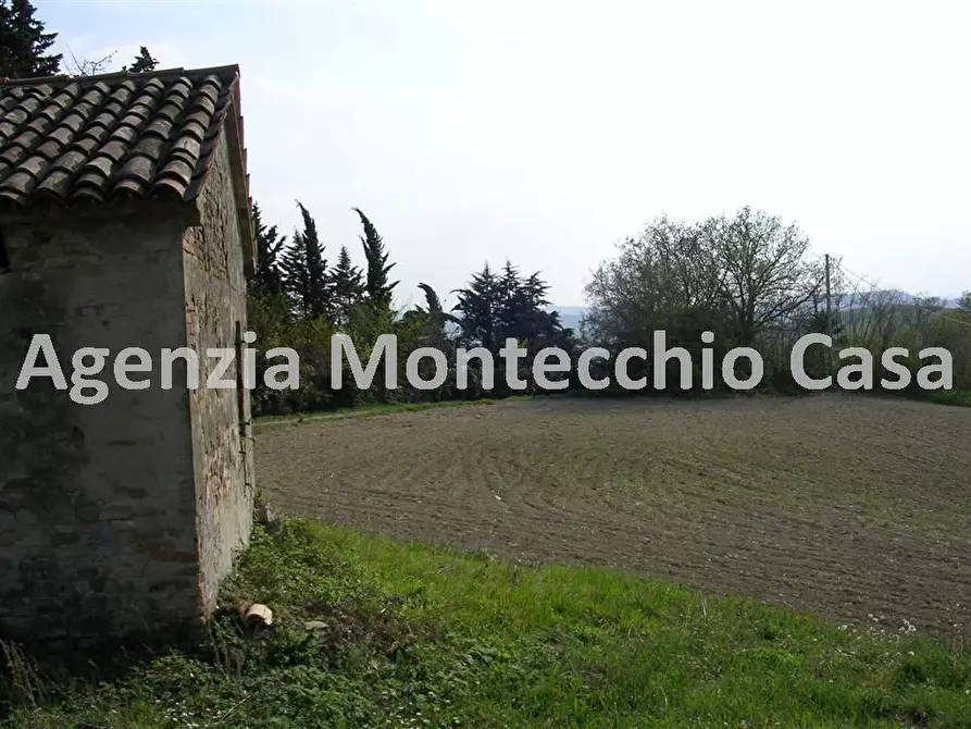 Immagine 2 di Terreno agricolo in vendita  in Via Monte Giove a Tavullia