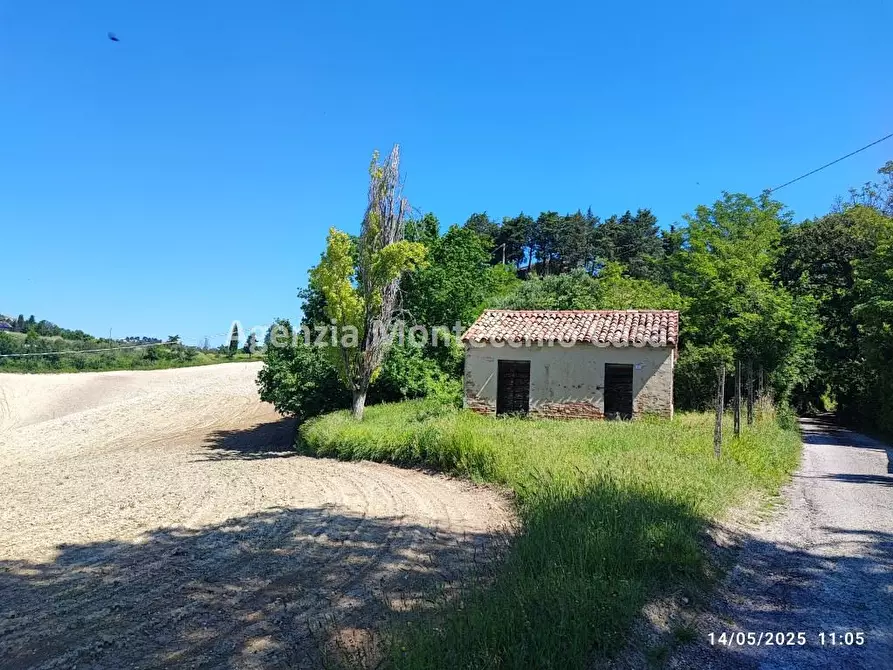 Immagine 3 di Terreno agricolo in vendita  in Via Monte Giove a Tavullia