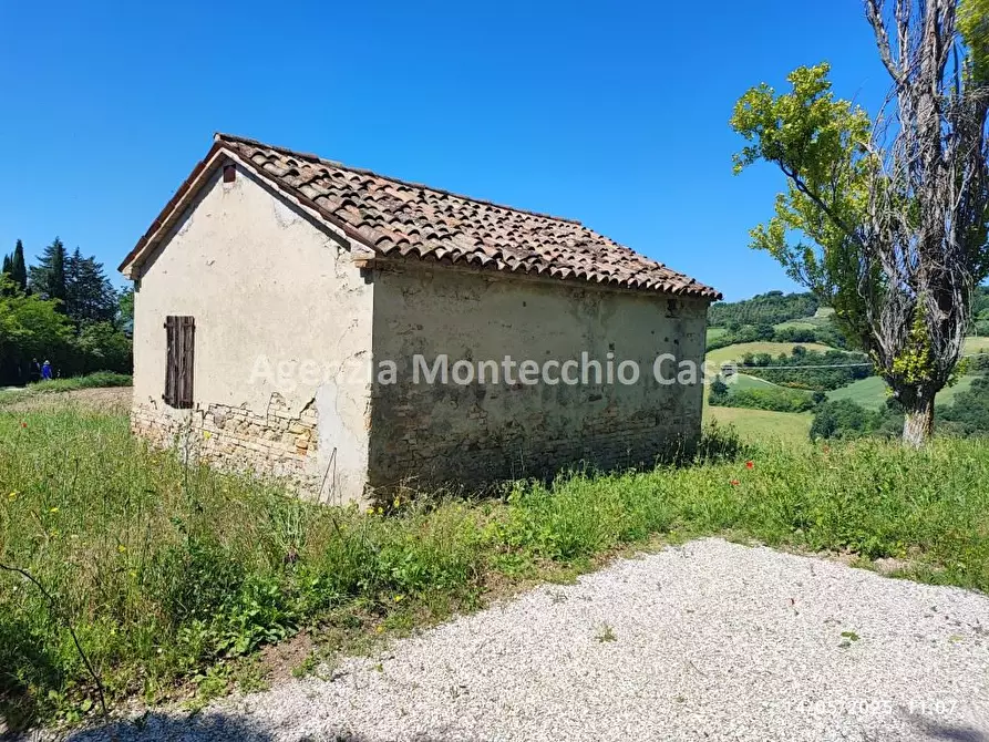 Immagine 4 di Terreno agricolo in vendita  in Via Monte Giove a Tavullia