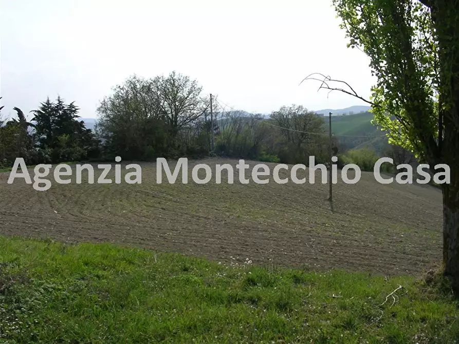 Immagine 1 di Terreno agricolo in vendita  in Via Monte Giove a Tavullia