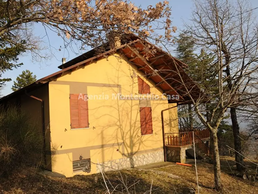 Immagine 3 di Villa in vendita  in Via Caferro a Carpegna
