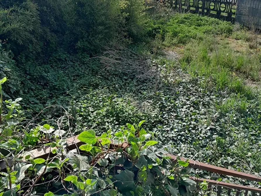 Immagine 9 di Casa indipendente in vendita  in Strada Francesca Est 43 a Rodigo