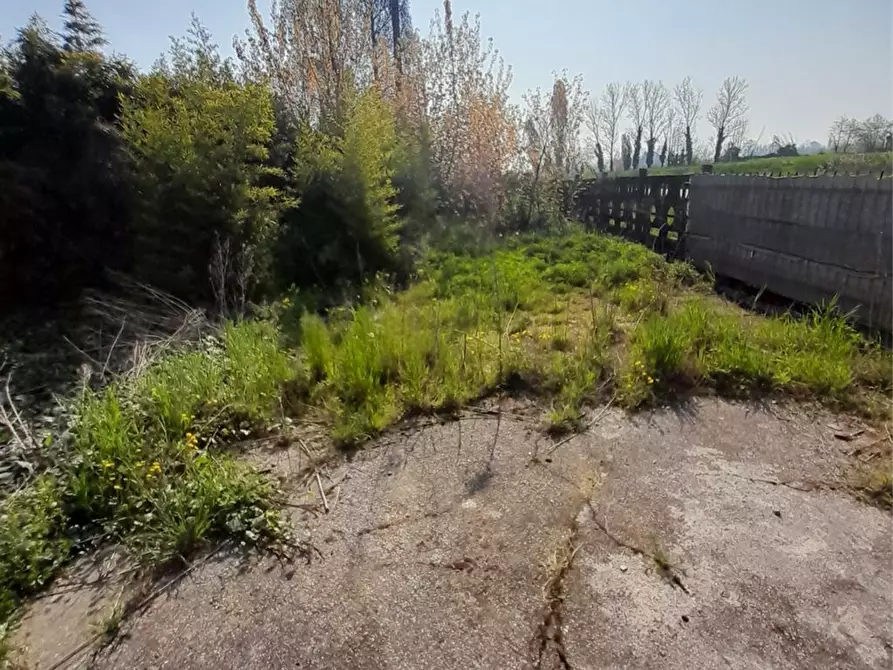 Immagine 5 di Casa indipendente in vendita  in Strada Francesca Est 43 a Rodigo