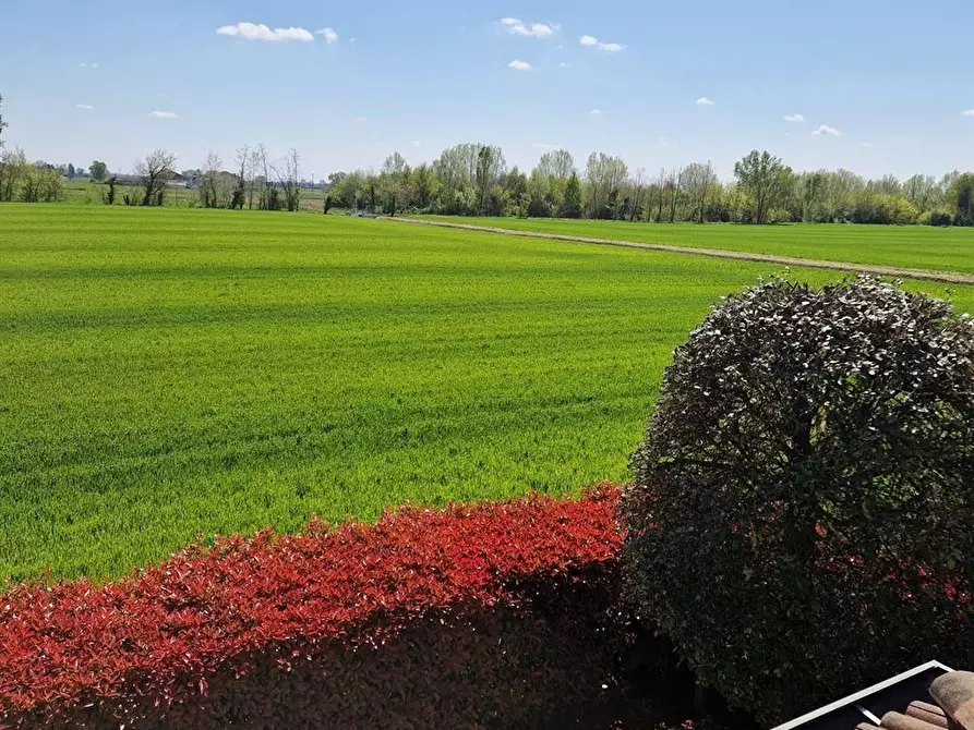 Immagine 9 di Casa bifamiliare in vendita  in Nenni a Borgo Virgilio
