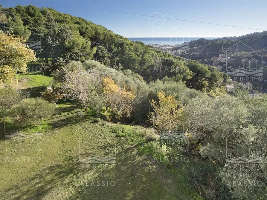 Immagine 2 di Villa in vendita  a Alassio