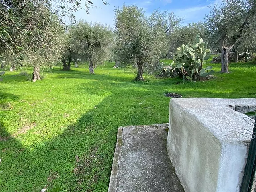 Immagine 1 di Villa in vendita  a Monte Sant'angelo