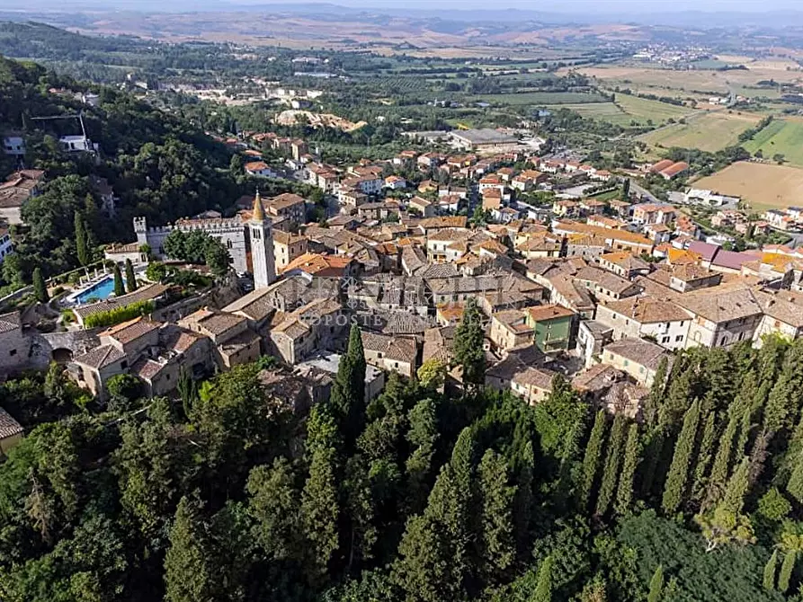 Immagine 3 di Terreno edificabile in vendita  a Rapolano Terme