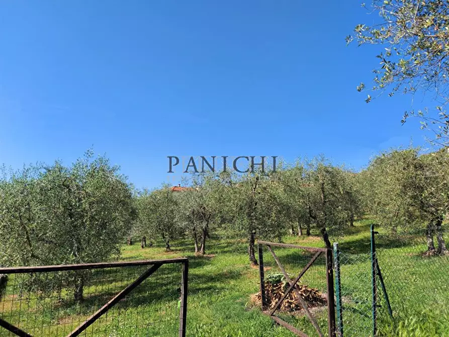 Immagine 2 di Terreno edificabile in vendita  a Rapolano Terme