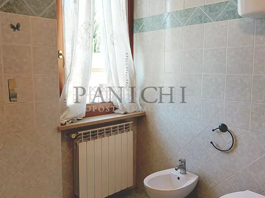 Immagine 7 di Appartamento in vendita  a Asciano