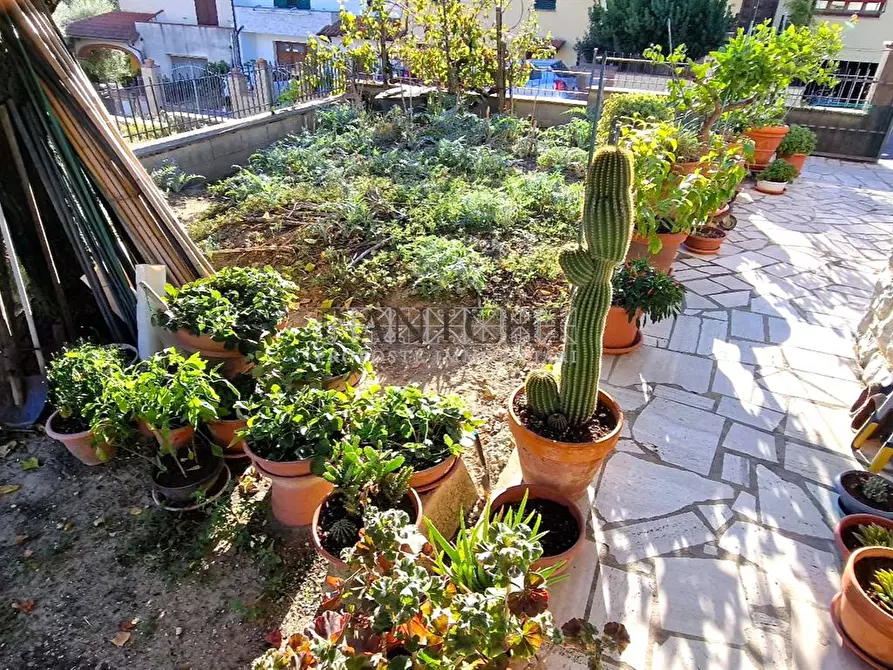 Immagine 8 di Casa indipendente in vendita  a Trequanda