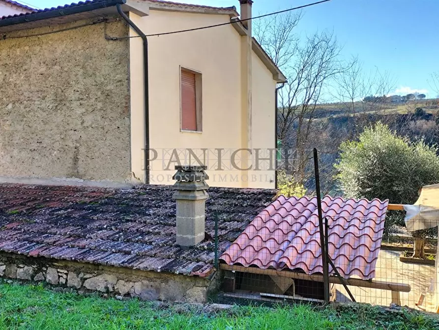 Immagine 4 di Appartamento in vendita  a Asciano