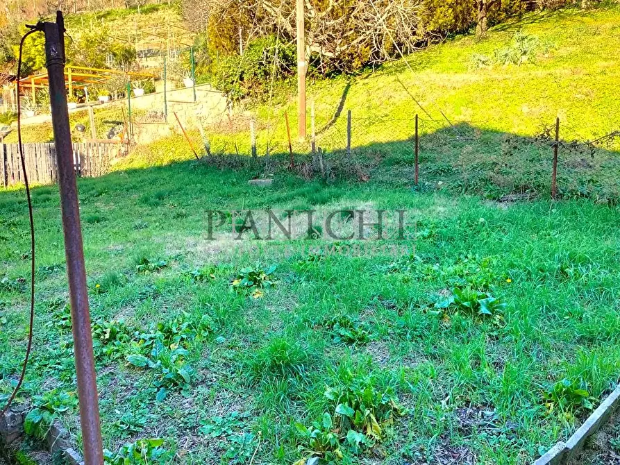 Immagine 3 di Appartamento in vendita  a Asciano