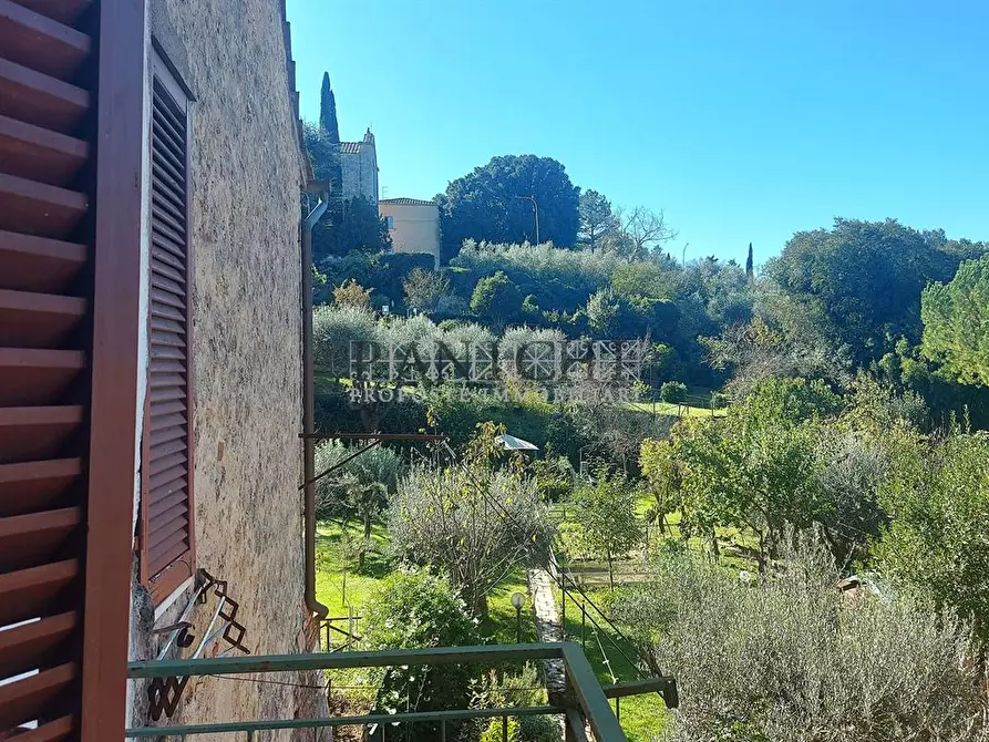 Immagine 6 di Appartamento in vendita  a Asciano