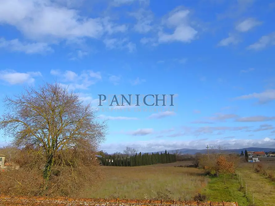 Immagine 5 di Casa indipendente in vendita  a Asciano