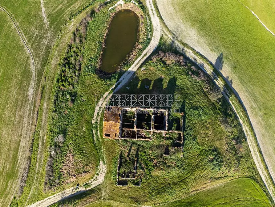 Immagine 3 di Rustico / casale in vendita  a Asciano