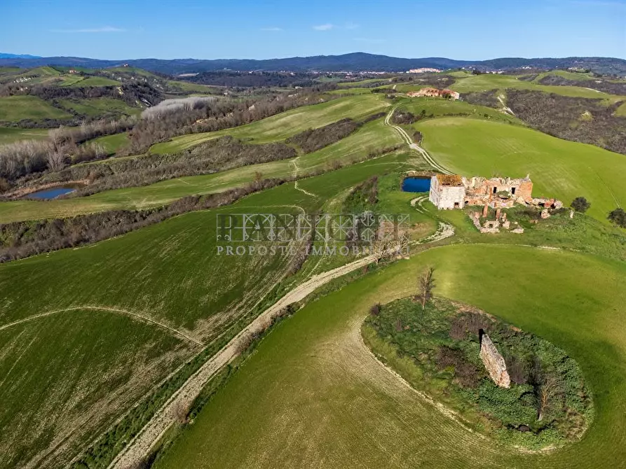 Immagine 5 di Rustico / casale in vendita  a Asciano