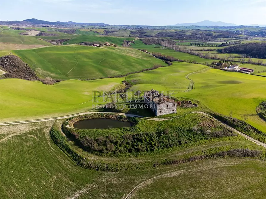 Immagine 6 di Rustico / casale in vendita  a Asciano