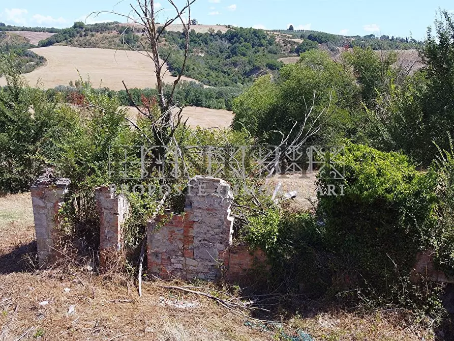 Immagine 6 di Rustico / casale in vendita  a Asciano