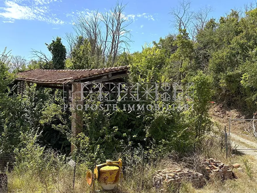 Immagine 5 di Rustico / casale in vendita  a Asciano