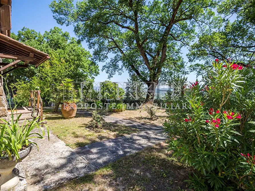 Immagine 3 di Rustico / casale in vendita  a Asciano