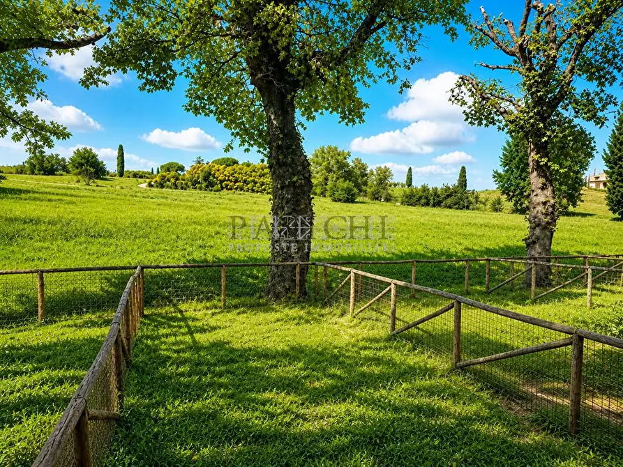 Immagine 5 di Appartamento in vendita  in Via A.C.Tolomei a Asciano