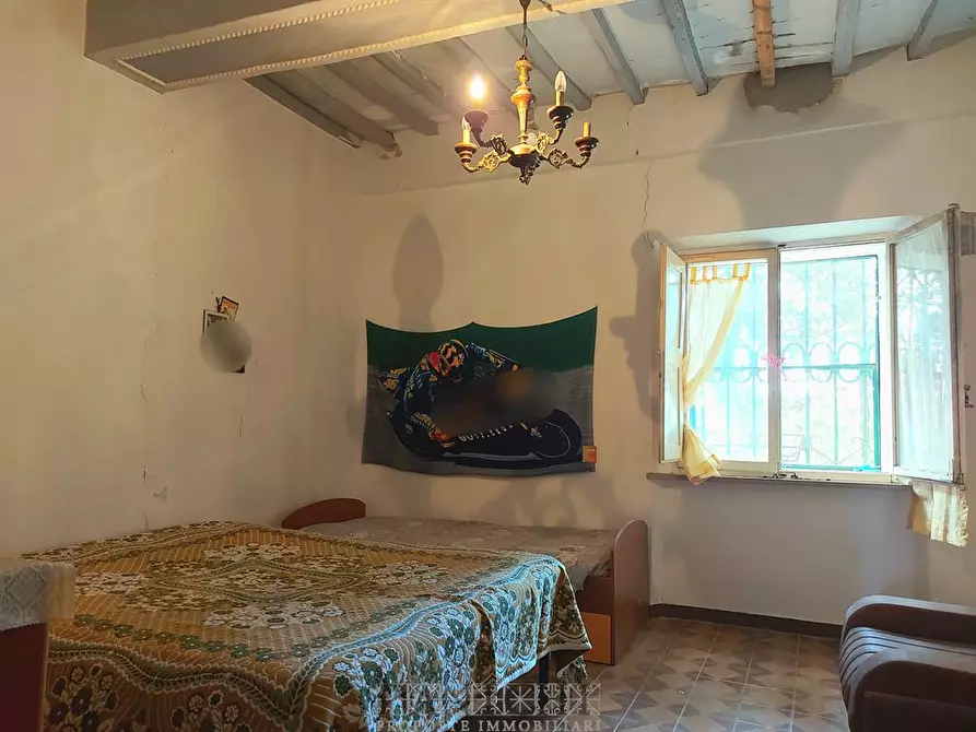 Immagine 2 di Appartamento in vendita  a Asciano