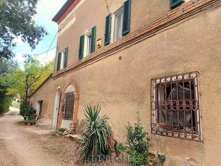 Immagine 8 di Appartamento in vendita  a Asciano