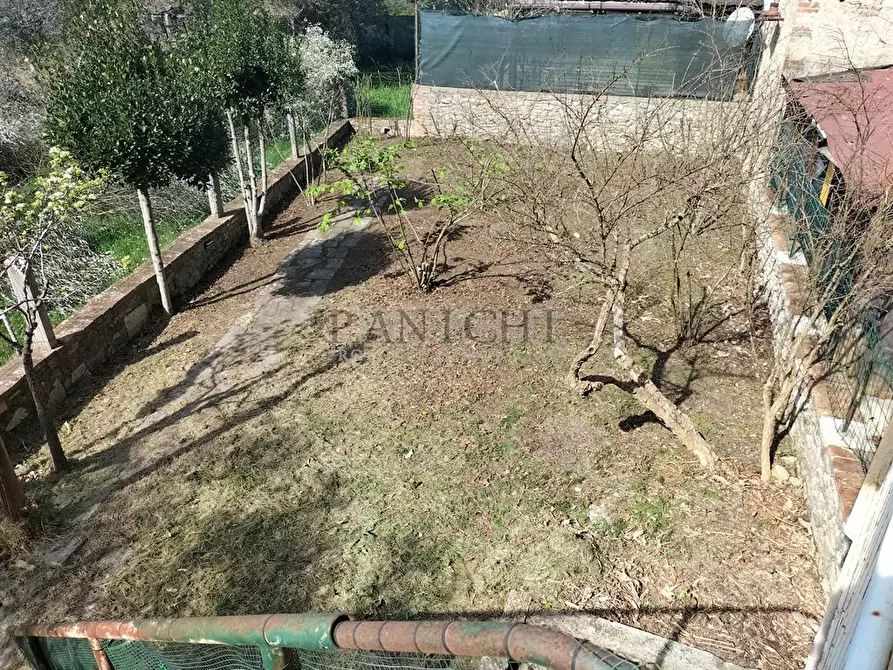Immagine 4 di Appartamento in vendita  a Asciano