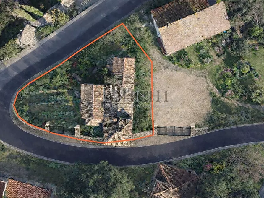 Immagine 1 di Rustico / casale in vendita  a Asciano