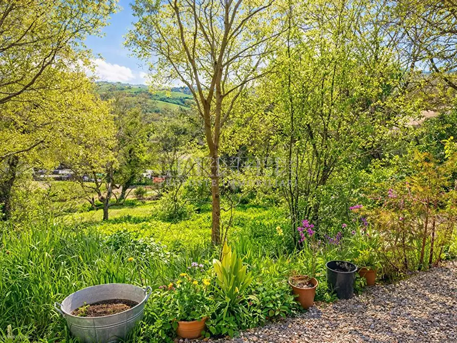 Immagine 5 di Rustico / casale in vendita  a Asciano