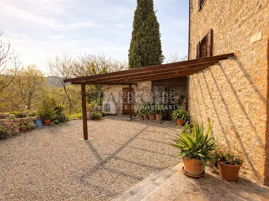 Immagine 2 di Rustico / casale in vendita  a Asciano